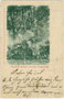 Denkmal für Walther von der Vogelweide in Innsbruck, St. Nikolaus im Waltherpark zwischen Innallee und Innstraße. Lichtdruck 9 x 14 cm; Impressum: Kunsthandlung Lorenz Neurauter, Innsbruck um 1900.  Inv.-Nr. vu914ld00195