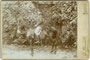 Infanterieoffizier in Paradeadjustierung auf seinem Dienstpferd aufgesessen. Gelatinesilberabzug auf Untersatzkarton 10,8 x 16,6 cm (Cabinet-Format); Impressum: G(ermano). Bendelli, Trento/Trient um 1895.  Inv.-Nr. vuCAB-00362