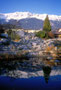 Botanischer Garten der Universität Innsbruck in Hötting, Sternwartestraße 15 vor der Bergkulisse der Nordkette. Farbdiapositiv 24 x 36 mm; © Johann G. Mairhofer 1992.  Inv.-Nr. dc135fuRD147.1_33