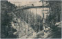 Triebwagen mit Beiwagen der Stubaitalbahn in Fahrtrichtung Fulpmes auf dem Gerüstpfeilerviadukt in Kreith, Gde. Mutters, Bzk. Innsbruck-Land. Lichtdruck 9 x 14 cm; Verlag Fritz Gratl, Photozentrale, Innsbruck um 1905.  Inv.-Nr. vu914ld00037