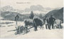 Der Rosengarten von Welschnofen im Eggental bei Bozen aus; im Vordergrund Bauern bei der Holzbringung. Lichtdruck 9 x 14 cm; Impressum: Verlag A. Figl & Co., Bozen um 1905.  Inv.-Nr. vu914ld00019