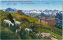 Stubaier Alpen von der Bergstation der Patscherkofelbahn von Arch. Hans Fessler (1896 - 1973) aus. Photochromdruck 9 x 14 cm (Bergnamenkarte); Impressum: K(arl). Redlich, Innsbruck um 1930.  Inv.-Nr. vu914pcd00239