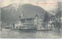 Dampfschiff „St. Joseph“ angelegt beim Hotel „Fürstenhof“ in Pertisau, Gemeinde Eben, Bzk. Schwaz, Tirol um 1910. Lichtdruck 9  x 14 cm, rückseit. Vermerk: „Pertisau 21.-22.7.1908“; Verlag Gebr. Metz, Tübingen. Inv.-Nr. vu914ld00028