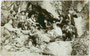 Wandergruppe einer alpinen Gesellschaft aus Hall in Tirol bei einer Stärkung in felsigem Gelände. Gelatinesilberabzug 9 x 14 cm; ohne Impressum, um 1905.  Inv.-Nr. vu914gs00725