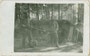Scharfschützen des k.k. Landsturm-Infanterieregiments Nr. 2, Bewaffnung: Repetiergewehr Mannlicher Modell 1895 mit Zielfernrohr. Gelatinesilberabzug 9 x 14 cm; Stempel: Feldpostamt 160 -10.4.1916.  Inv.-Nr. vu914gs00640