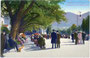Giselapromenade (heute: Passerpromenade) in Meran, benannt nach Gisela Louise Marie Erzherzogin von Österreich, Prinzessin von Bayern. Photochromdruck 9 x 14 cm; Aufnahme/Verlag: Lorenz Fränzl, Bozen 1910.  Inv.-Nr. vu914pcd000092