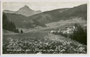 Burg Trautson (1945 bei Bombardement zerstört) in Mühlbachl, Gbz. Steinach (ab 1977 Gbz. Innsbruck), Bzk. Innsbruck-Land, Tirol gegen Serles in den Stubaier Alpen. Gelatinesilberabzug 9 x 14 cm; Frank-Verlag, Graz 1931/32.  Inv.-Nr. vu914gs00363