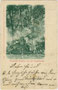 Denkmal für Walther von der Vogelweide im Waltherpark in Innsbruck-St. Nikolaus zwischen Innallee und Innstraße. Lichtdruck 9 x 14 cm; Verlag d. Kunsthandlung Lorenz Neurauter`s Nachf., Innsbruck, postal. befördert 1899.  Inv.-Nr. vu914ld00195
