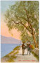 Eseltransport auf der Gardesana Orientale (östliche Gardaseestraße), Provinz Brescia, Italien. Photochromdruck 9 x 14 cm; Verlag Edition Photoglob, Zürich um 1907.  Inv.-Nr. vu914pcd00071