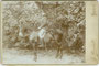 Infanterieoffizier in Paradeadjustierung auf seinem Dienstpferd aufgesessen. Gelatinesilberabzug auf Untersatzkarton 16,6 x 10,8 cm (Cabinetformat); Aufnahme: G(ermano). Bendelli, Trento/Trient um 1895.  Inv.-Nr. vuCAB-00362