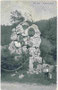 Struber-Denkmal für die Verteidigung vom Pass Lueg (Gde. Golling, Bzk. Hallein) unter Kdt. Josef Struber (1773-1845) gegen französisch-bayerische Truppen im Jahr 1809. Autotypie 9 x 14 cm; Impressum: Verlag Huttegger, Salzburg 1927.  Inv.-Nr. vu914at00036