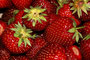 Erdbeere (Fragaria); Strawberry (Engl.)