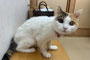 ① ルイ（メス）21才