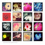 instagram 01