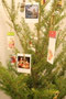 2012年12月　フォトグリーティング展〜写真の贈りもの〜