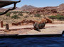 NAMIBIA SÜD SENSATION TOUR