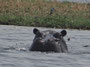 NAMIBIA ETOSHA CASCATE VITTORIA - DESERT OFFROAD ADVENTURE