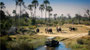 WHITE THUNDER TOUR MARCH 2026 NAMIBIA BOTSWANA ZIMBABWE