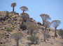 NAMIBIA SÜD SENSATION TOUR
