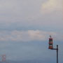 0826_513_exposed_oil_mdf_17x17