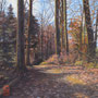 1524_414_hesitant_oil_mdf_17x17