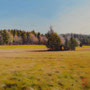1325_464_concealed_oil_mdf_17x17