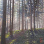 1225_463_dazzling_oil_mdf_17x17