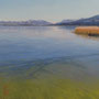 5225_505_invisible_oil_mdf_17x17