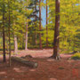 3026_539_restful_oil_mdf_17x17