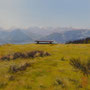 4025_493_clear_oil_mdf_17x17