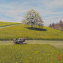 1725_469_rapid_oil_mdf_17x17