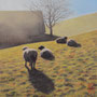 5125_504_replete_oil_mdf_17x17