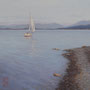 1625_468_sailing_oil_mdf_17x17