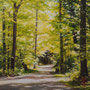 2024_419_vibrant_oil_mdf_17x17