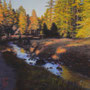 4524_445_mumbling_oil_mdf_17x17