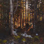 4924_449_fabulous_oil_mdf_17x17