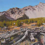 4124_441_wild_oil_mdf_17x17