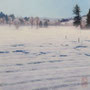 0326_508_misty_oil_mdf_17x17