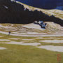 5024_450_alternating_oil_mdf_17x17