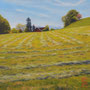 2326_531_mowed_oil_mdf_17x17