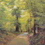 1926_526_vitalising_oil_mdf_17x17