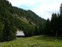 Die Waldwiese bei der Ebenalm mit kleiner Jagdhütte