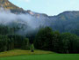 Nebelschwaden im Gebiet des Alpbachs zwischen Kanisfluh und Roßstelle
