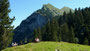 Schöner Rast- und Aussichtsplatz auf Kanisfluh, Tal der Bregenzerache und ins Gebiet der Kanisalpe