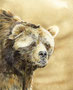 Bär