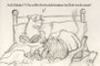 30.09.2008 *Geschichten aus dem Tierreich: Betthupferl*