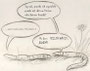 02.10.2008 *Geschichten aus dem Tierreich: Regenwurm-Flirt*