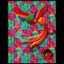 Phoenix 80x100cm