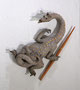 "Drache mit Speer" ca 19cm Höhe