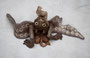 "Teufelchen" ca 60cm Spannbreite